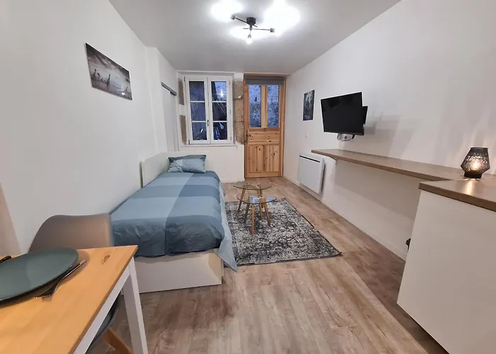Διαμέρισμα Hebergeneve : Aux Pieds Du Chateau